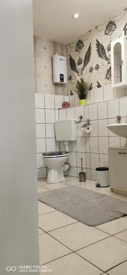 Monteurwohnung 1 Wolfen Екстер'єр фото