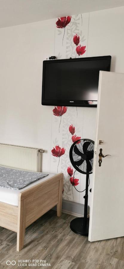 Monteurwohnung 1 Wolfen Екстер'єр фото